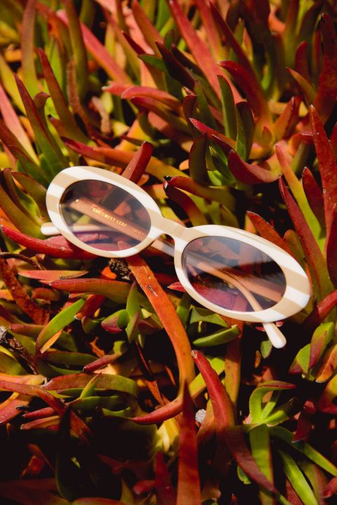 Crap_Eyewear-2018_Summer-Lookbook-07-the_sweet_leaf-web