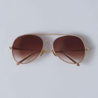 Acne Studios Chloe Smoke x Mirrors Balmain Anna Karin Karlsson Tom Ford 6 Aviator Sunglasses Trends for Women in 2017 Buy Shop Online Trend Women Sunglasses Glasses
